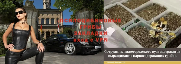 бошки Алексеевка