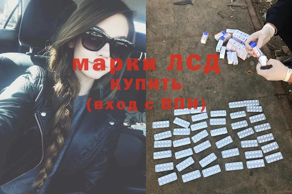 apvp Алексин
