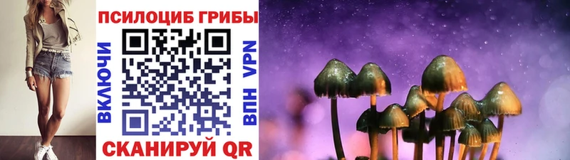 Псилоцибиновые грибы Cubensis  Березники 